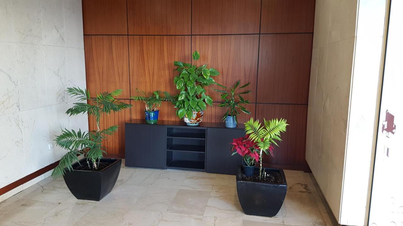 Apartamento En בנאלמדנה מראה חיצוני תמונה